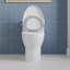 Siège de toilette DV-1S0038 DeerValley