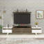 TV Stand and Entertainment Center Ashley