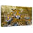 Brampt Jaguar Family-107680214