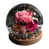 Pink est en rupture de stock