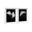 Calla Lily Set Shadowbox Floral & Botanical Print by Oliver Gal, Black Frame, 10 x 15-1851357364-1851357365