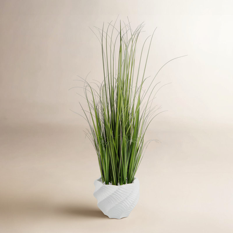 38'' Faux Onion Grass Grass in Ceramic Pot