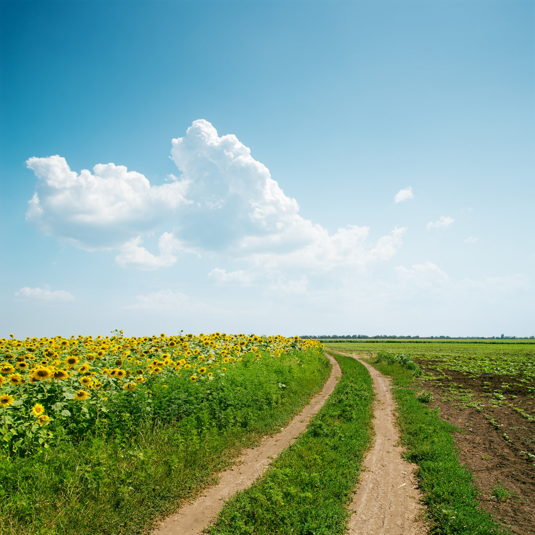 Tibbs Dirty Road - Leinwandfoto im Wickel