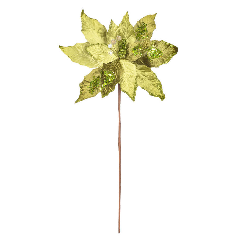Tige de poinsettia, Chaux
