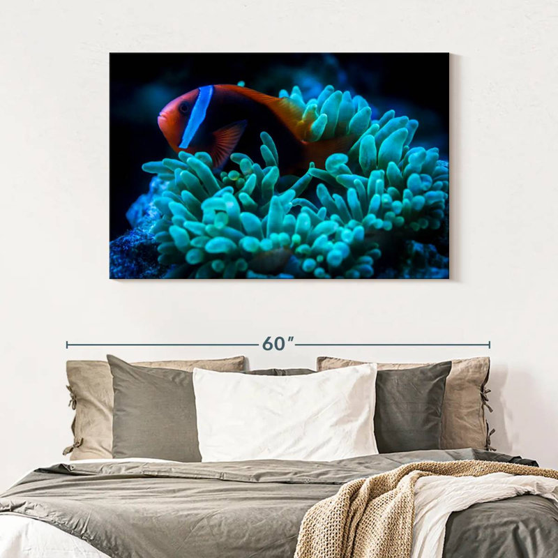 Brampt Tomato Clownfish, 32" H x 48" W