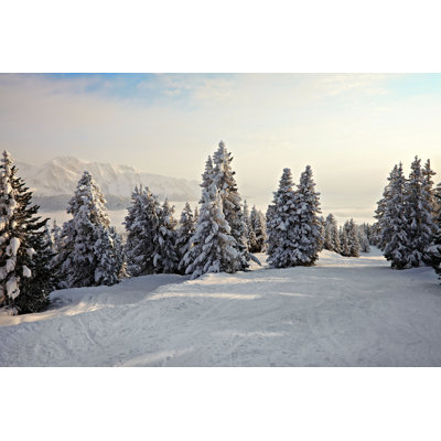 Addalyne " Winter Landscape " by Gudella