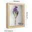 Delcastillo Shadowbox 1.5” Deep Box Frame for Objects with Glass Front-252754821-252754840