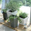 Calabro Pot Planter-465362684-465362686