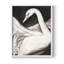 ANIMALS Series CECXLI - Impression encadrée de qualité supérieure - Prêt à être accroché - Aucun clou requis-587416984-587416977