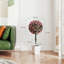 55 cm H Faux Plant-1530043612