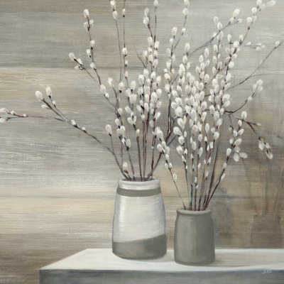 Pots de saule gris nature morte