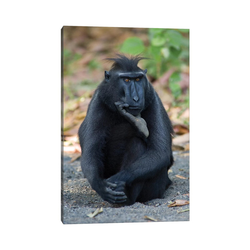 The Thinker by Karsten Wrobel - Wrapped Canvas Gallery-Wrapped Canvas Giclée, 66.04 cm H x 45.72 cm W