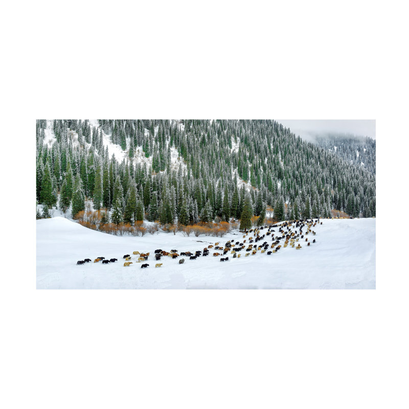Art sur toile Hua Zhu Spring Snow, H 10 po x l 19 po