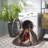 Keneson Woven Performance Machine Washable Performance Geometric Rug-1771594588