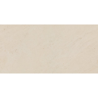 Daltile Sand and Stone 24 x 48 Floor Tile (2 PC Per Carton) (15.54 SQFT Per Carton)