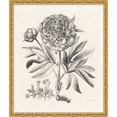 «Bessler Study Neutral 2», impression encadrée sur verre
