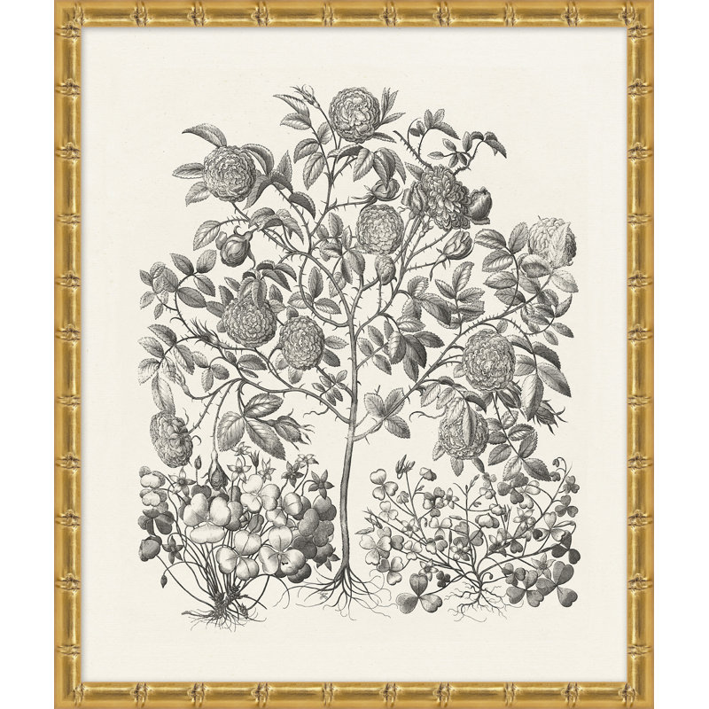«Bessler Study Neutral 1», impression encadrée sur verre