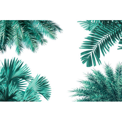 Different Tropical Jungle Palm Leaf Isolated by Pernsanitfoto - Wrapped Canvas Print