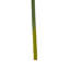 Fiori Amaryllis Arrangement