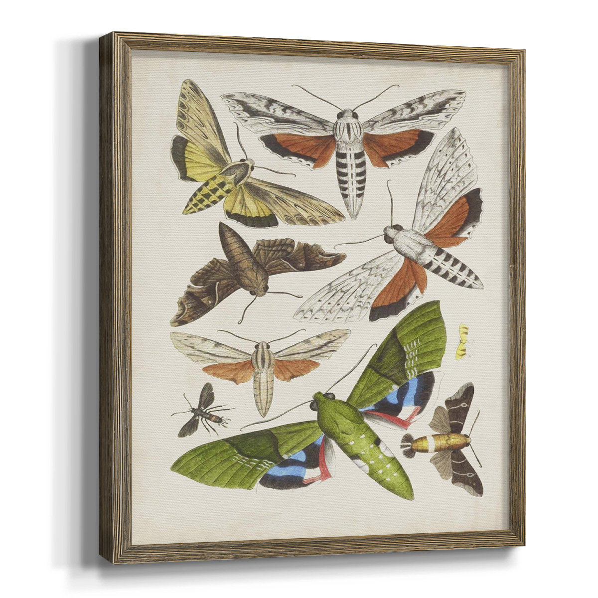 August Grove® " Lumen Color II " Wayfair