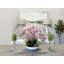 Orchids Arranged in Fiberstone Planter