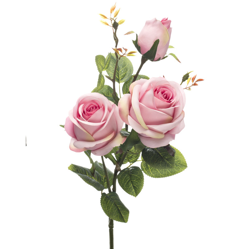 Pulvérisateur de rose artificiel, Rose