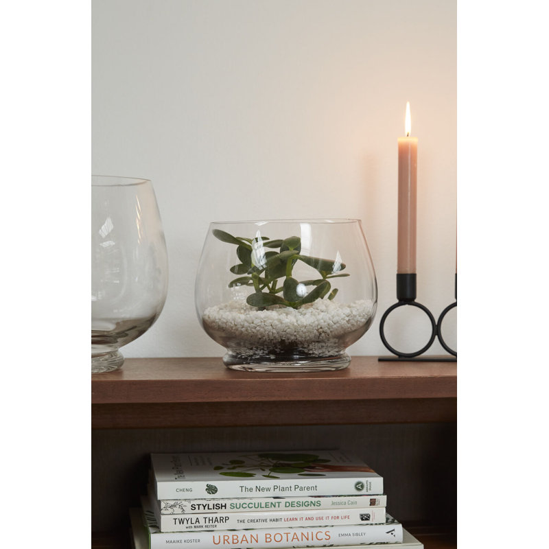 Discovery Terrarium, 6.25" H x 7.75" W x7.75" D