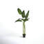 78'' Faux Banana Leaf Tree in Pot