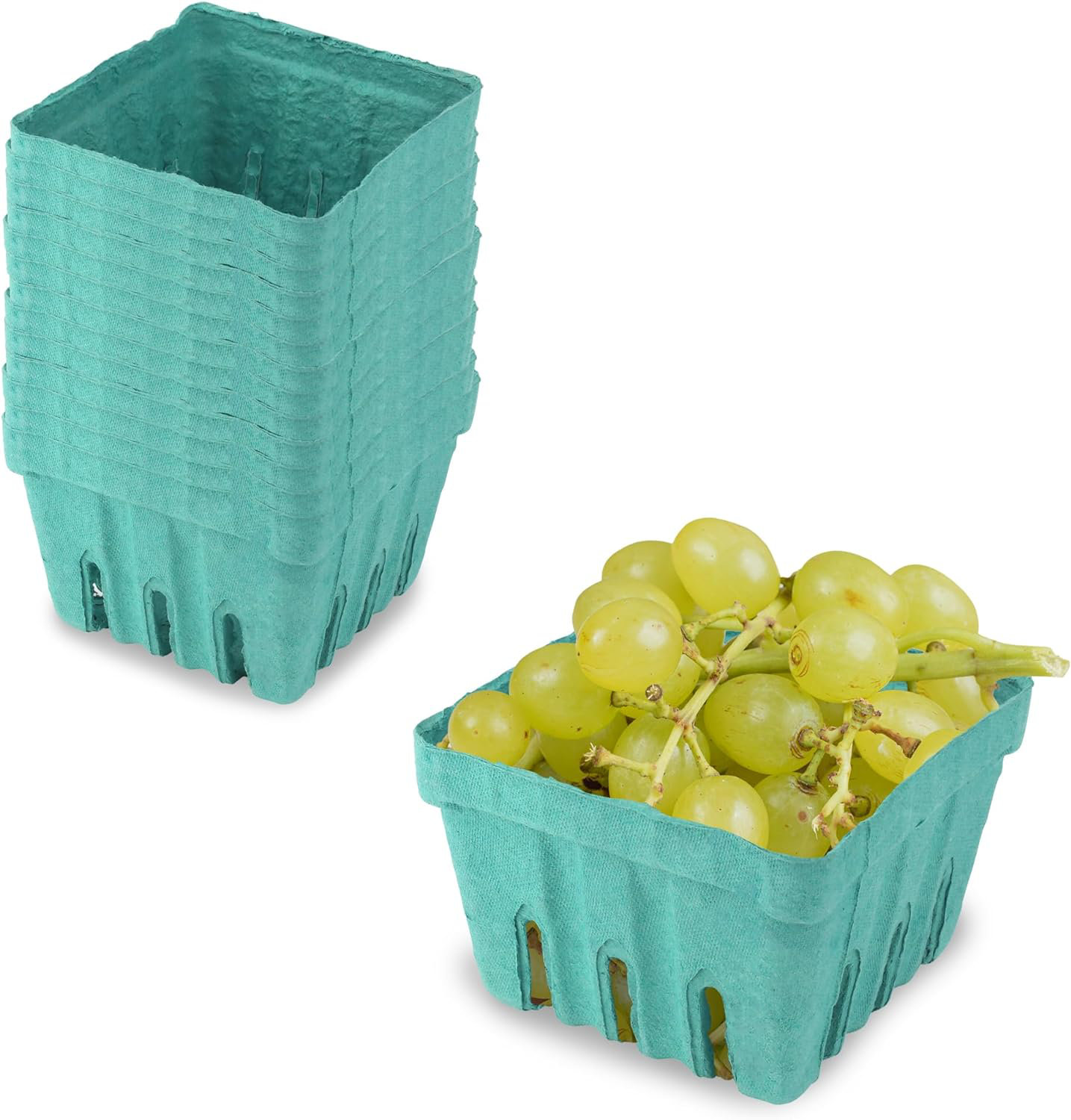 https://assets.wfcdn.com/im/40925977/compr-r85/2577/257757817/danjou-1-pint-vented-green-molded-pulp-fiber-baskets.jpg