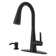 Pfister Barulli 1-Handle Pull-Down Matte Black Kitchen Faucet with Soap Dispenser