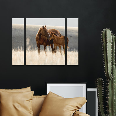 Ensemble de 3 panneaux - Christy Berry «Montana Mares No. 1», art mural sur toile pour le salon, la chambre à coucher ou le bureau par Trademark Fine Art