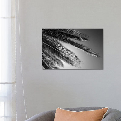 Palm by Philippe Hugonnard - Wrapped Canvas Print