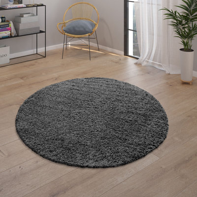 Gagnon Solid Colour Shag Area Rug