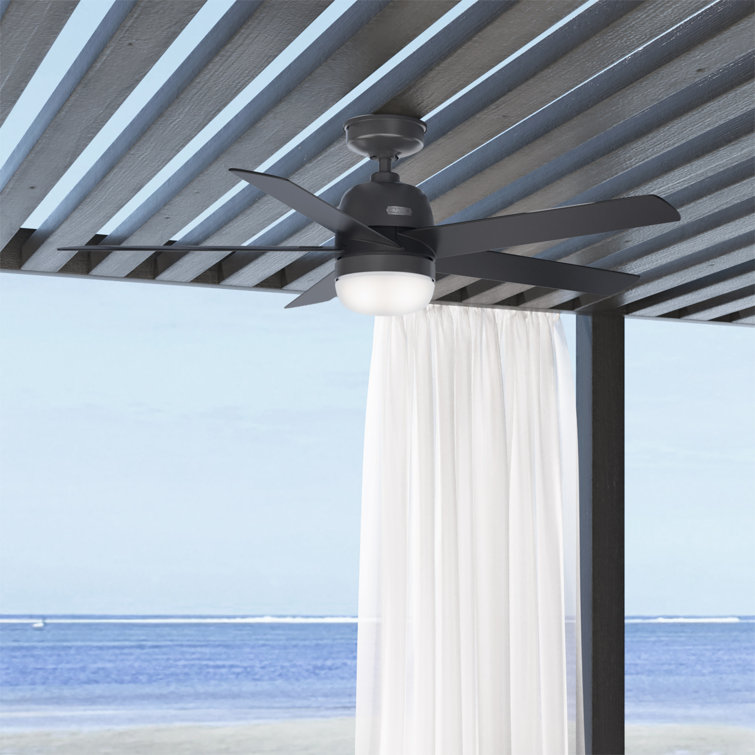 52" Anorak 5 - Blade Outdoor Standard Ceiling Fan with Lights and Wall Control