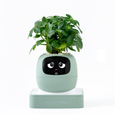 Pot de fleurs robot intelligent Gen2 pour animaux de compagnie, avec application et intelligence artificielle. Cadeau idéal. Conseils d'entretien des plantes ivoire avec emojis. Compagnon adorable, interaction gestuelle riche, décor de bureau et cadeau parfaits.