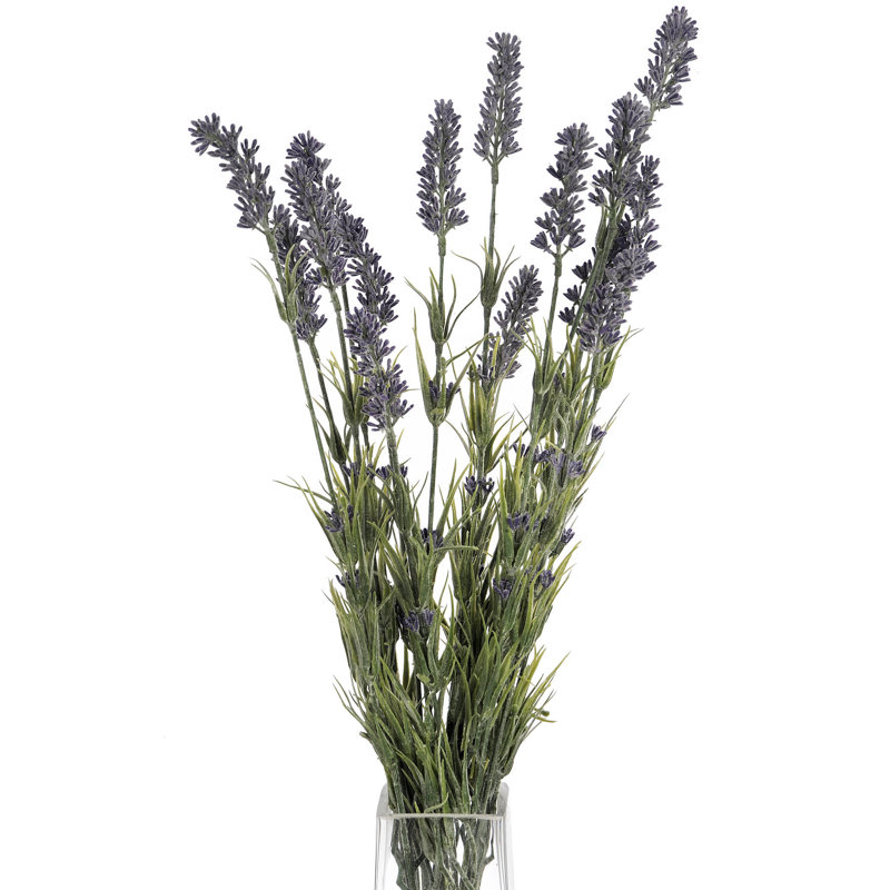 Anastasija Arrangement, 66 cm H x 16 cm W x 16 cm D