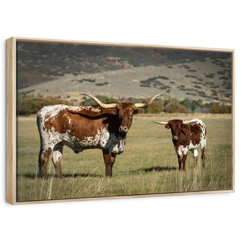 Texas Longhorn And Its Calf, 37" X 25", Floating Frame Natural Wood