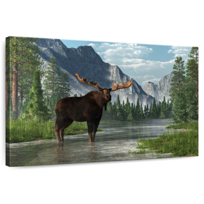 Habitat Bull Bull