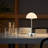 Metal Desk Lamp-1988381752