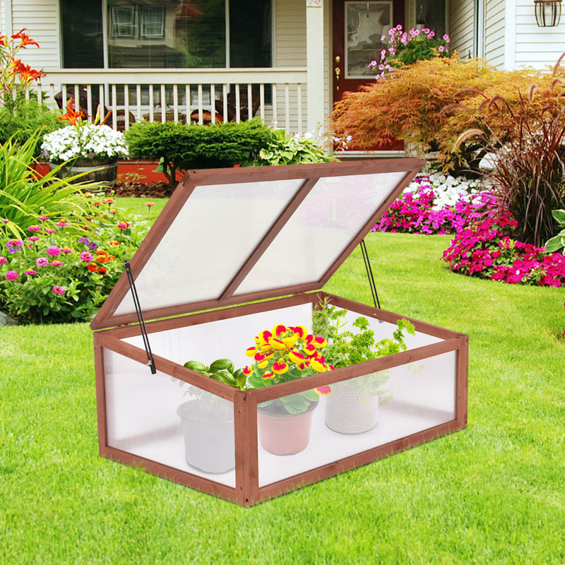 100 Cm X 65 Cm Ellizabeth Cold Frame