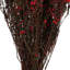 Phylica Floral Arrangement in Vase