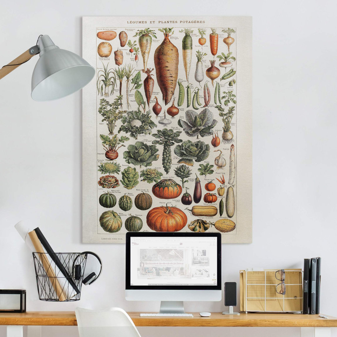 Leinwandbild Vintage Wall Chart with Vegetables