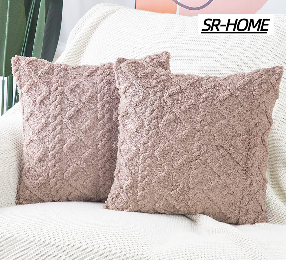 https://assets.wfcdn.com/im/40928140/compr-r85/2306/230603666/pillow-cover.jpg