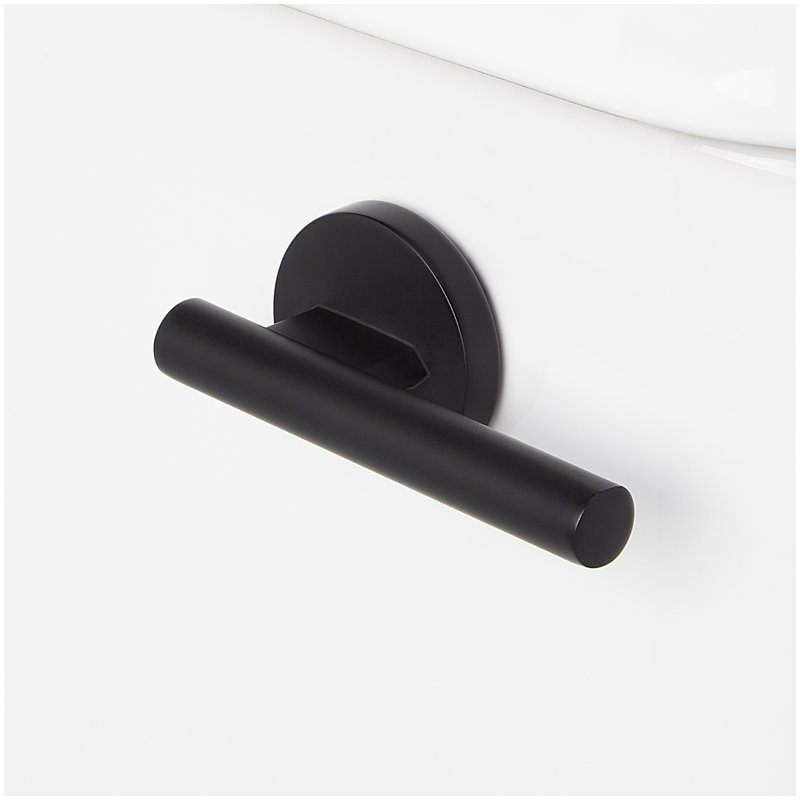 Millspring Low-Flow Two-Piece Elongated Toilet with Bidet Seat - White - Matte Black Handle, Matte Black