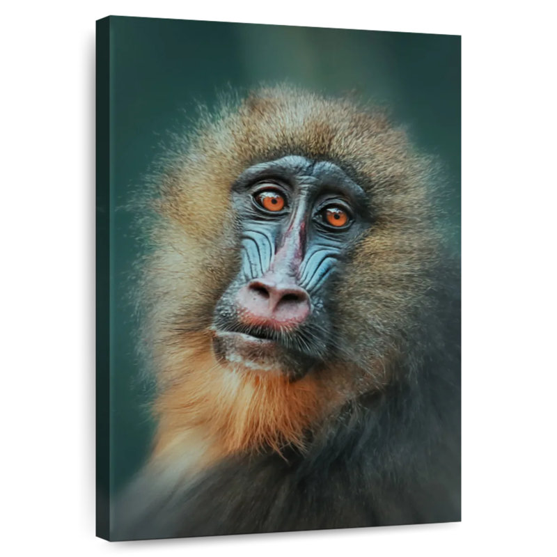 Monkey Close Up, 45" H x 30" W
