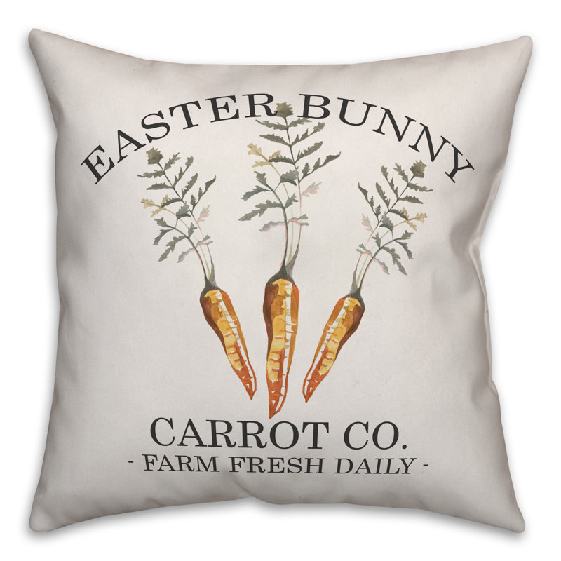 Throw Pillow, 20" x 20", No Fill