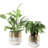 Metal Pot Planter