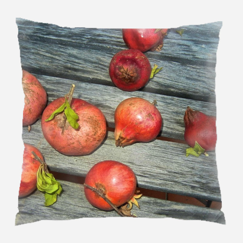  Coussin Pomegranate