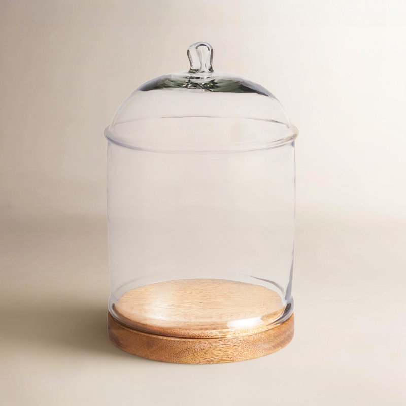Birch Lane™ Jana Tray