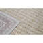 Ziegler Wool Oriental Area Rug in Beige